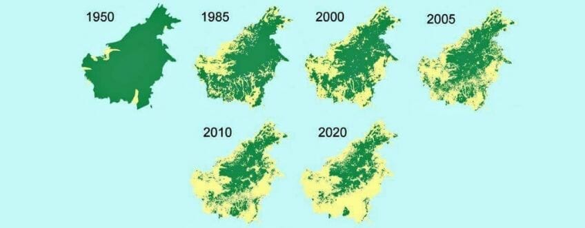 Issue with palm oil